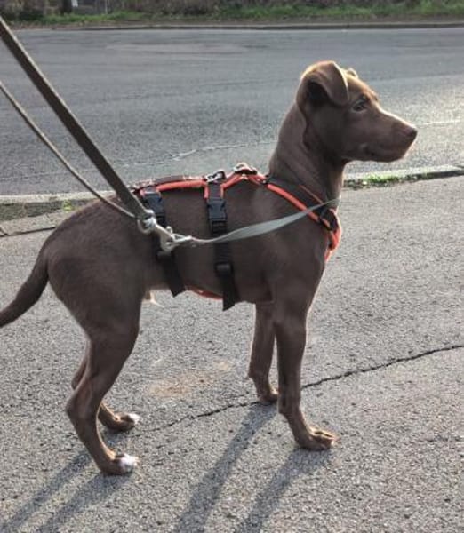 Fran was für ein süßer Knopf