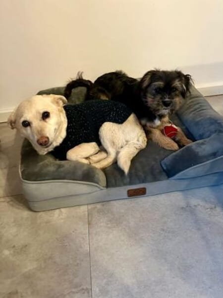 TARJA * ruhige liebe Seniorin