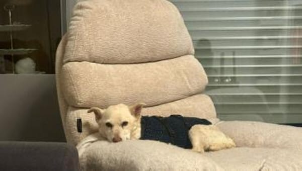 TARJA * ruhige liebe Seniorin