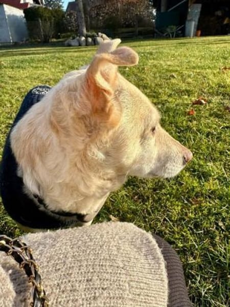 TARJA * ruhige liebe Seniorin