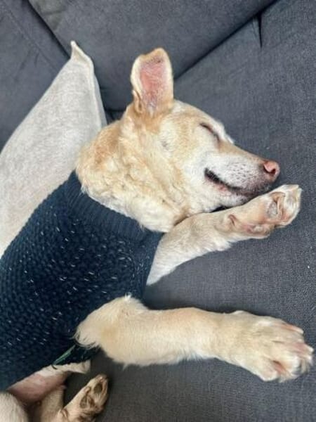 TARJA * ruhige liebe Seniorin