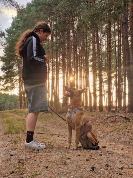 Lucy, kluge Hündin sucht ihr Zuhause