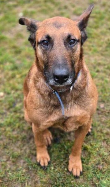 BELLA 3 sucht Familienanschluss