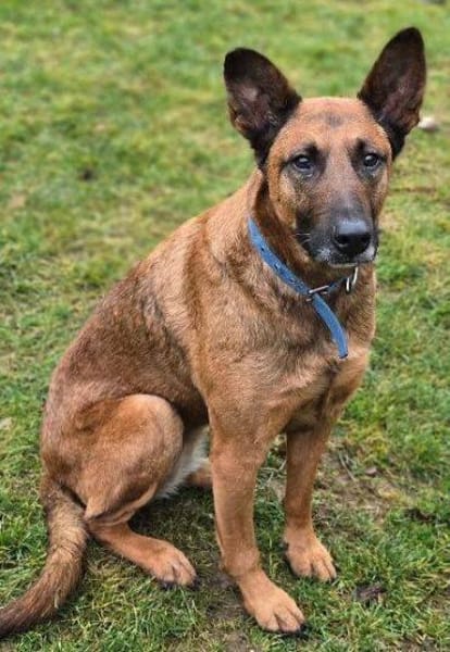 BELLA 3 sucht Familienanschluss