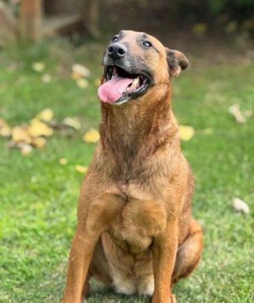 BELLA 3 sucht Familienanschluss