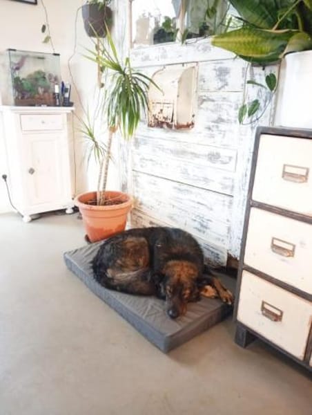 Rettest du mich ? DRINGEND