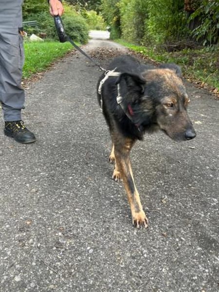 Rettest du mich ? DRINGEND