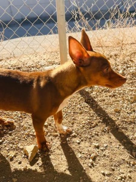 India4 sucht ein Zuhause