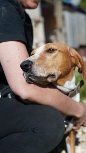 Wer schenkt Peggy ein Zuhause fürs Leben