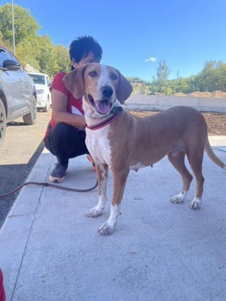 Wer schenkt Peggy ein Zuhause fürs Leben