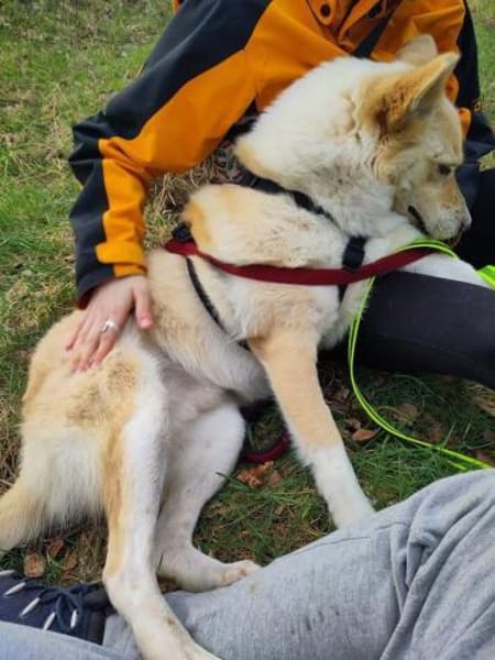 HERMES braucht stabiles Zuhause‼♥🆘