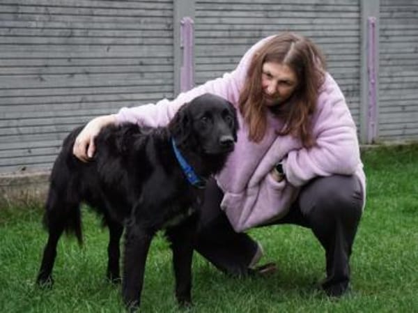 Berto sucht sein Glück