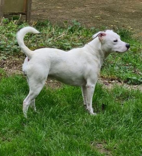 Wunderschöne Afrodita sucht ein Zuhause