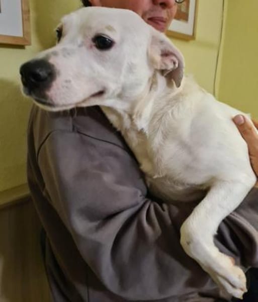 Wunderschöne Afrodita sucht ein Zuhause