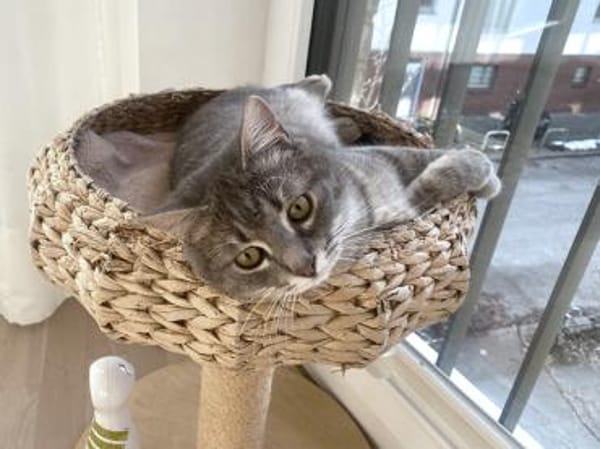 Cielo wünscht sich liebe Menschen