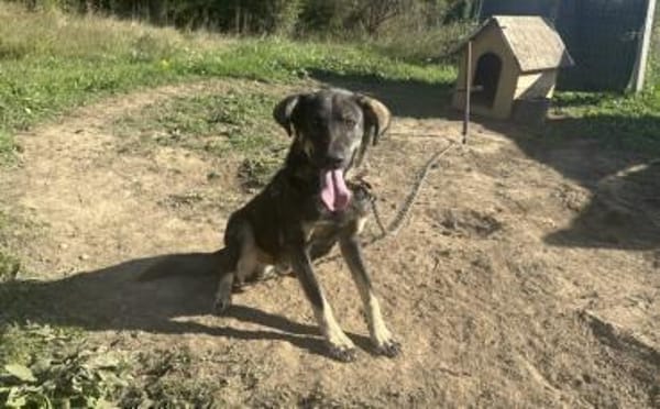 Matteo wartet auf seine Familie