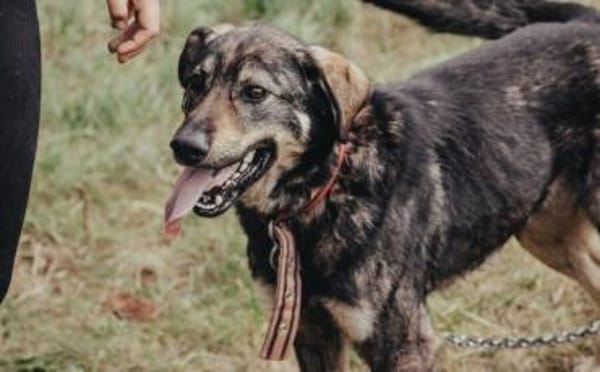 Matteo wartet auf seine Familie