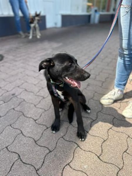 Beni, Zartes Herzchen, 10M 40878