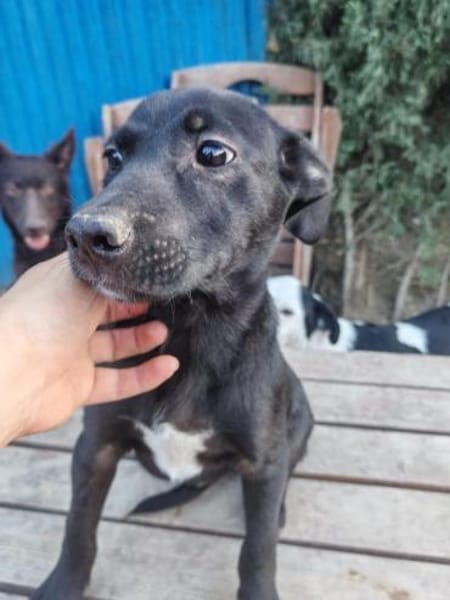 Beni, Zartes Herzchen, 10M 40878