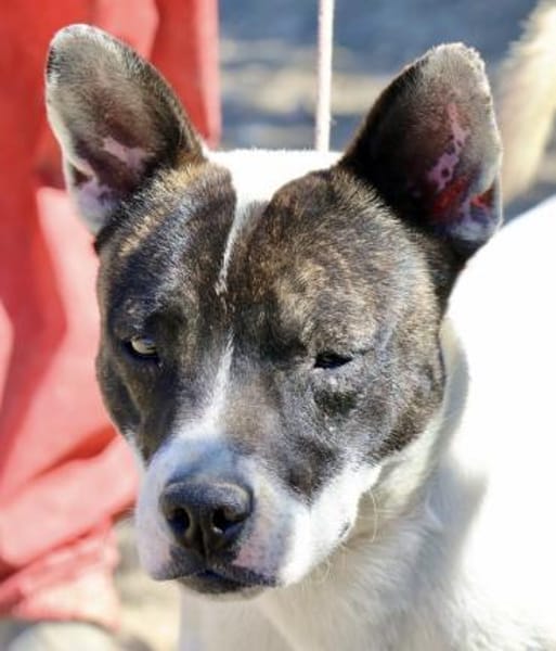 Mark, neugierig, offen, freundlich