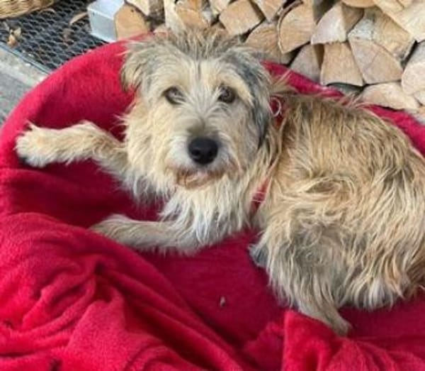 Praya ist so fröhlich und offen!