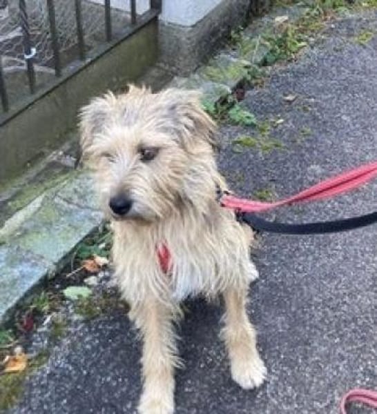 Praya ist so fröhlich und offen!