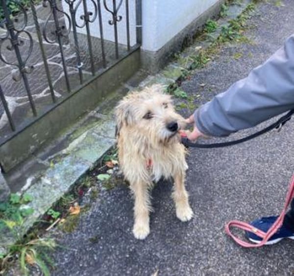 Praya ist so fröhlich und offen!