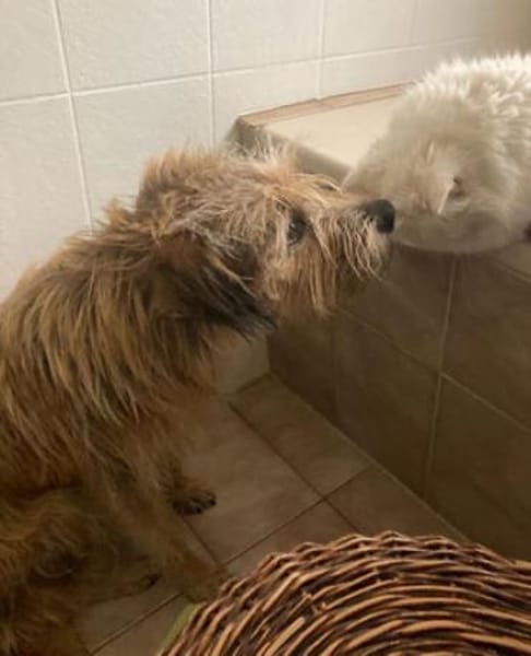 Praya ist so fröhlich und offen!