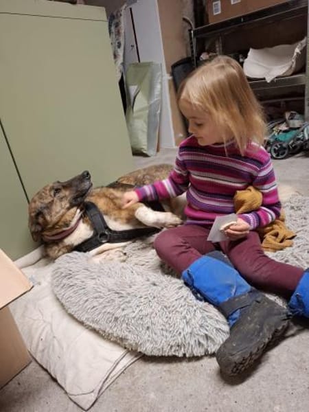 Schöne Emma sucht ein zu Hause