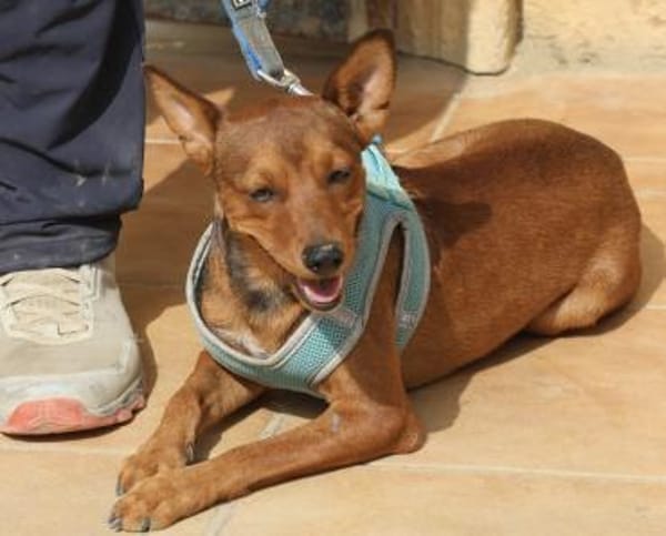 Ilia Topuria, kinderlieb, freundlich