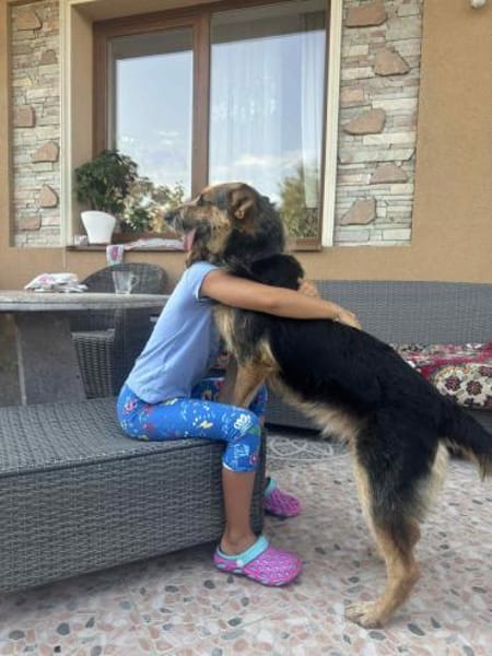 Jessy sucht ihr liebevolles Zuhause