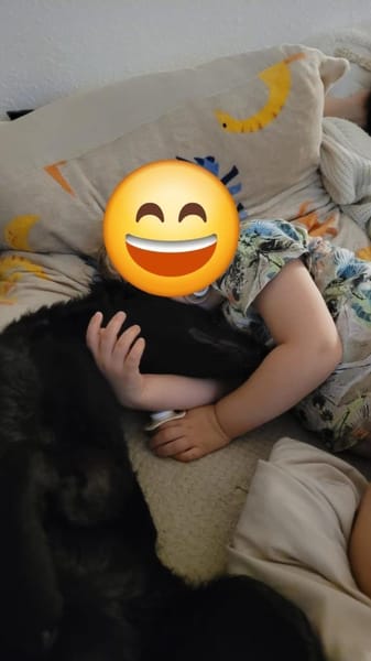 Bari, aktive Labrador Mix Hündin