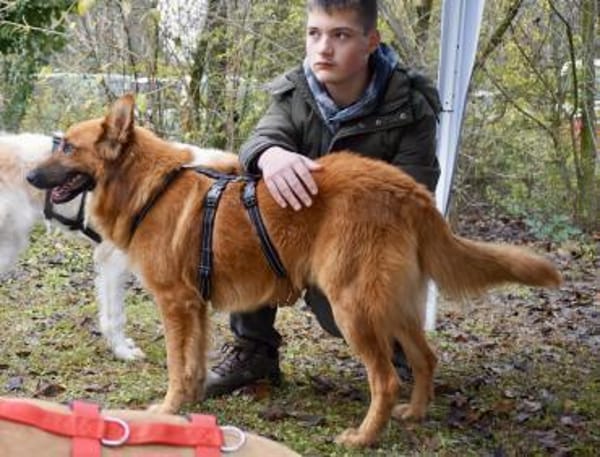 Sudan, lernfreudig, offen, neugierig