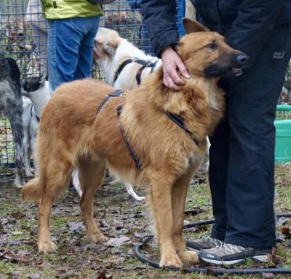 Sudan, lernfreudig, offen, neugierig