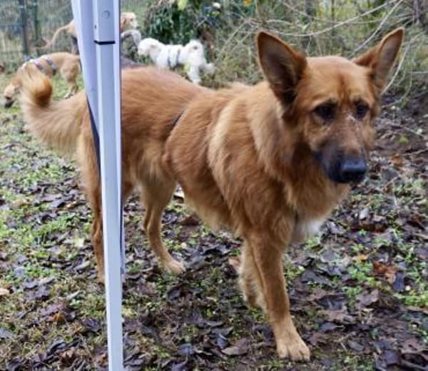 Sudan, lernfreudig, offen, neugierig