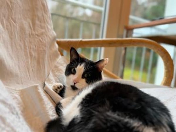 Wunderschöner Snap 💕