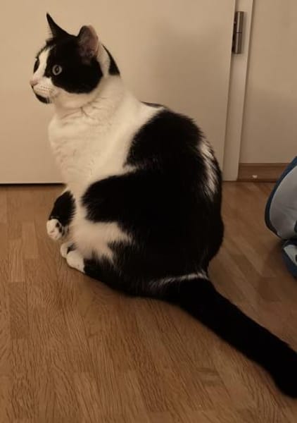 Wunderschöner Snap 💕