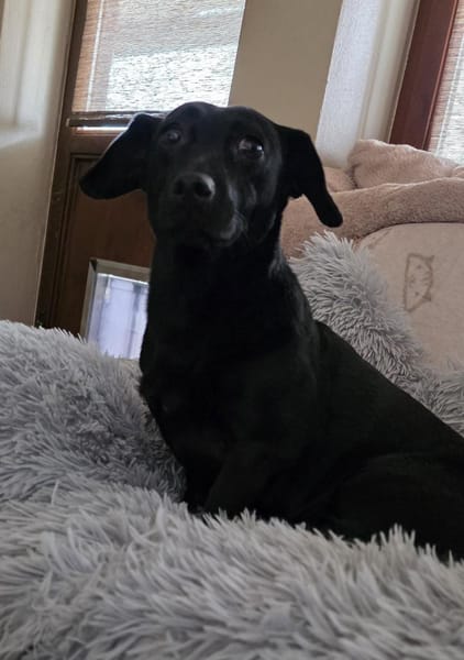 Bezaubernde rüstige Seniorin Manyka