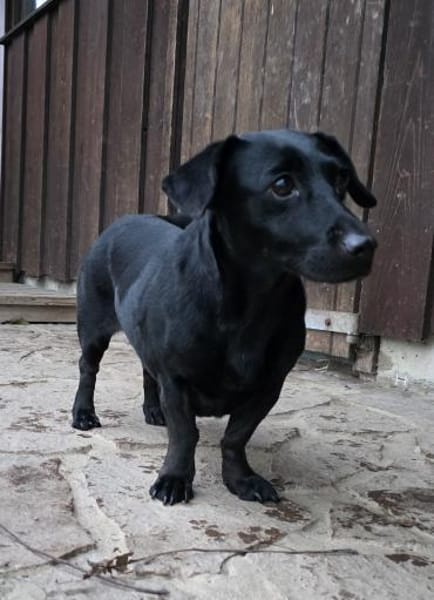 Bezaubernde rüstige Seniorin Manyka