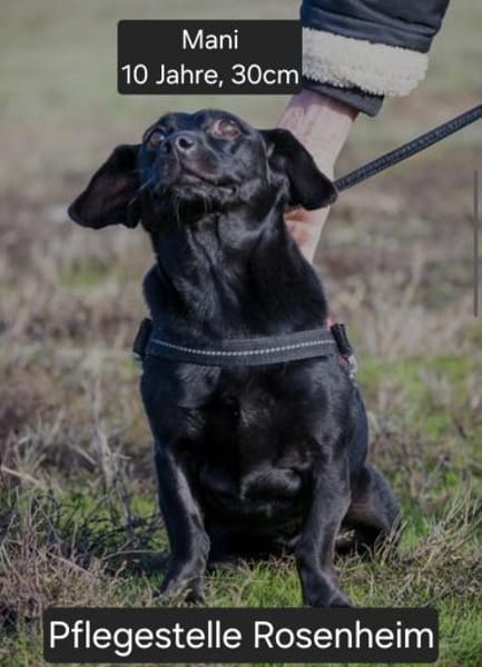 Bezaubernde rüstige Seniorin Manyka