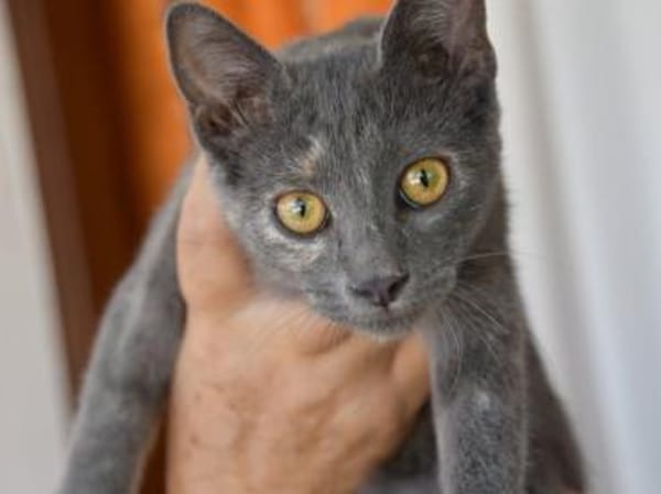 Hübsche Sally sucht Zuhause