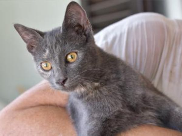 Hübsche Sally sucht Zuhause