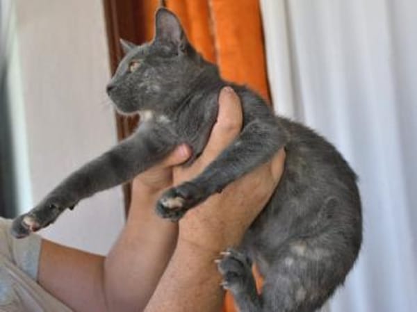 Hübsche Sally sucht Zuhause