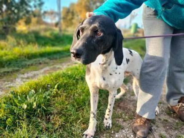 Sofia freundlich ausgeglichen in D