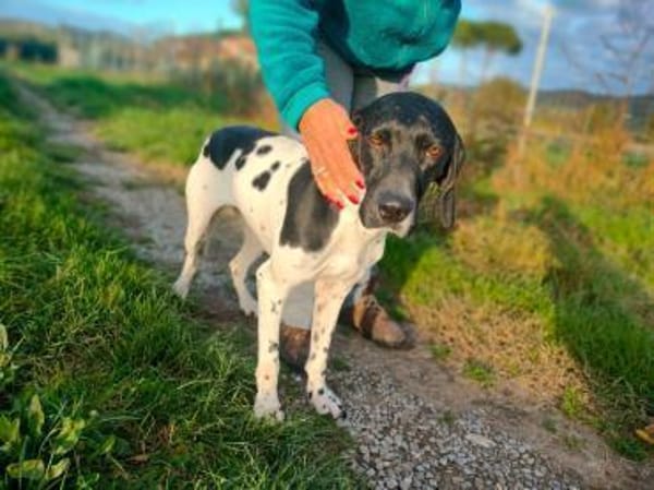 Sofia freundlich ausgeglichen in D