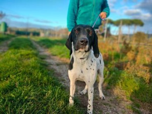 Sofia freundlich ausgeglichen in D