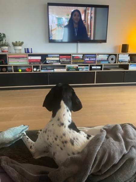 Sofia freundlich ausgeglichen in D