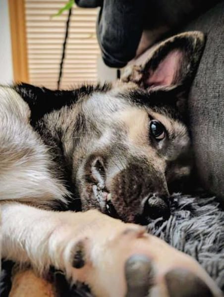 San - Die Feinfühlige