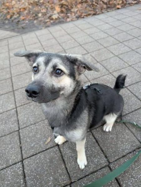 San - Die Feinfühlige