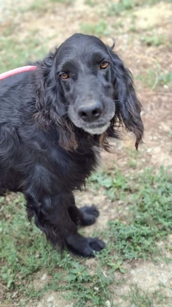 💜Medoro - in Deutschland zur Pflege